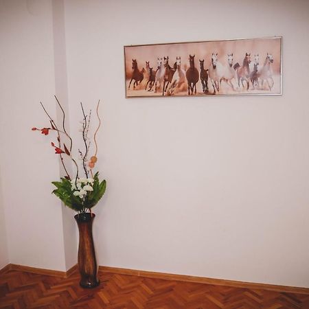 3 Rooms, Loft Apartment, Located Right In Center!!! Razgrad المظهر الخارجي الصورة
